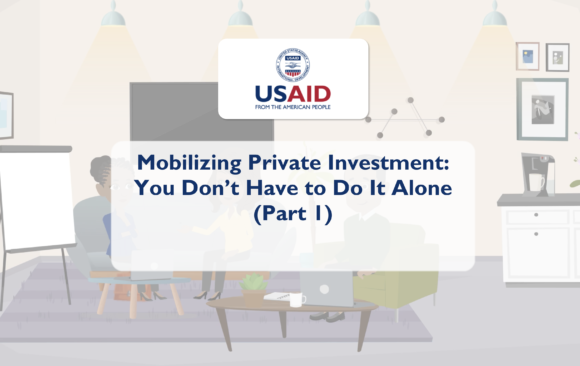 Mobilizing Private Investment: You Don't Have to Do It Alone